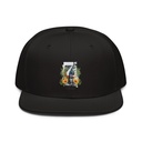 7 Chakra Snapback