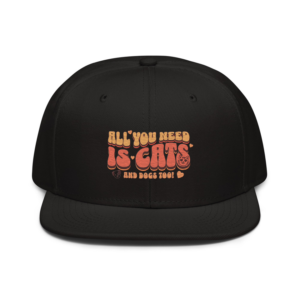 All You Need Snapback