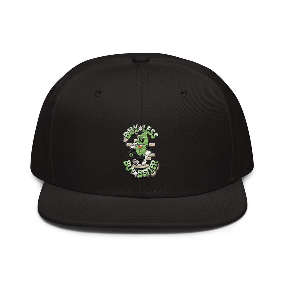 Buy Less- Buy Better Snapback