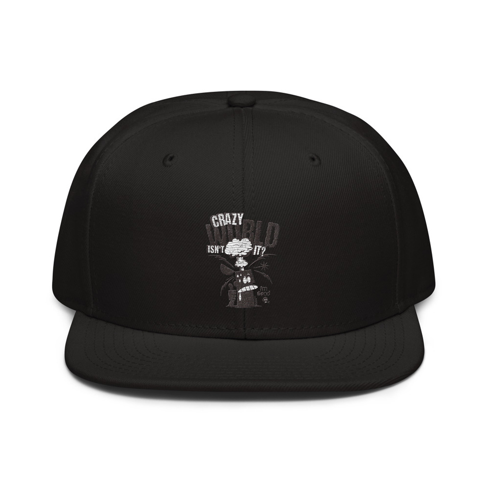 Crazy World Snapback