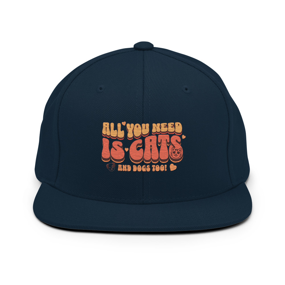 All You Need Classic Snapback