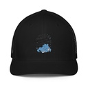 Delulu is the Solulu! - Typographic Cartoon Streetwear Closed-Back Trucker Cap