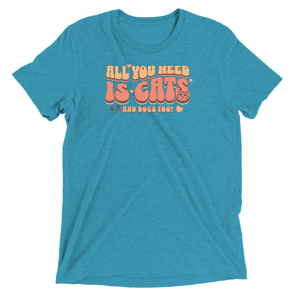 All You Need Unisex Tri-Blend T-Shirt
