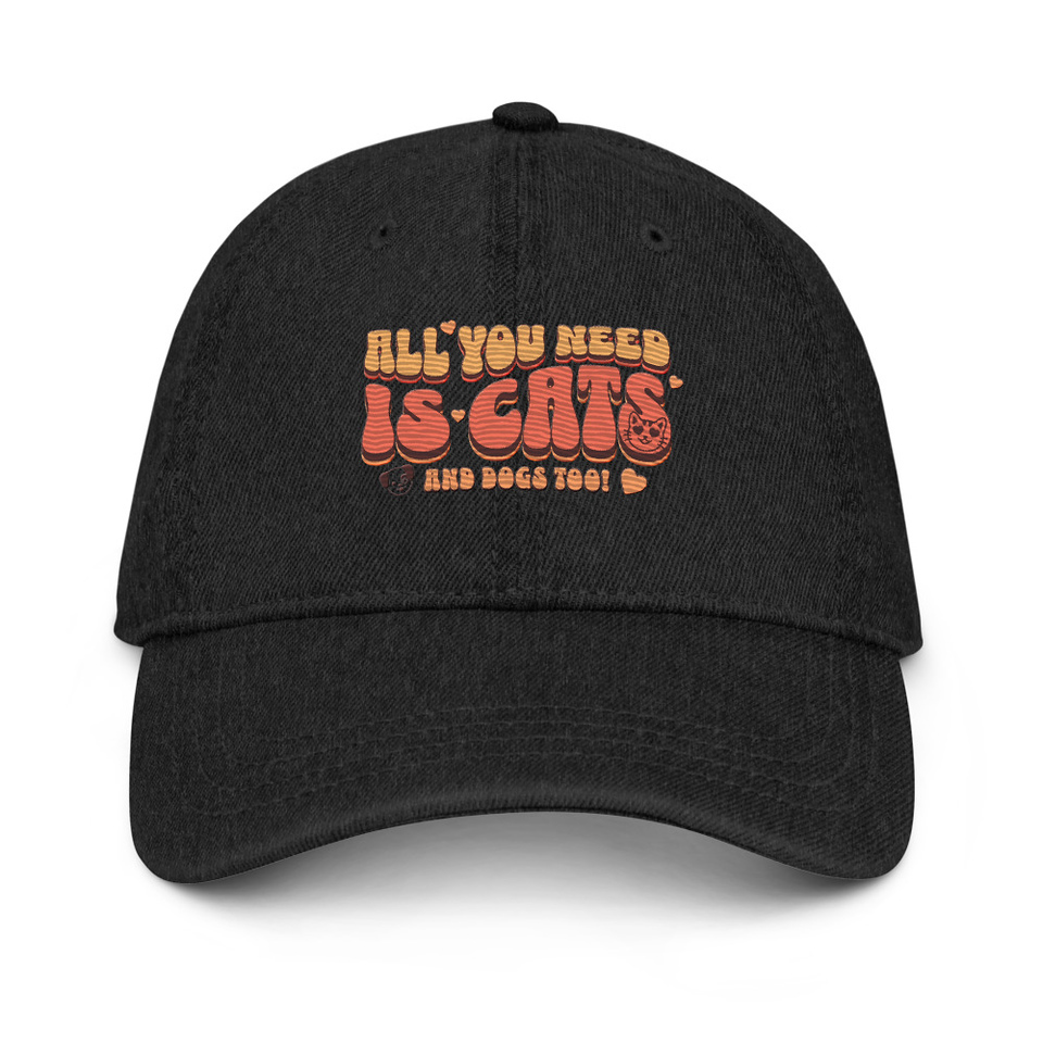 All You Need Denim Hat