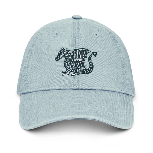 [ID: 463-G16] A Dragon Rises - Typographic Lettering Denim Hat