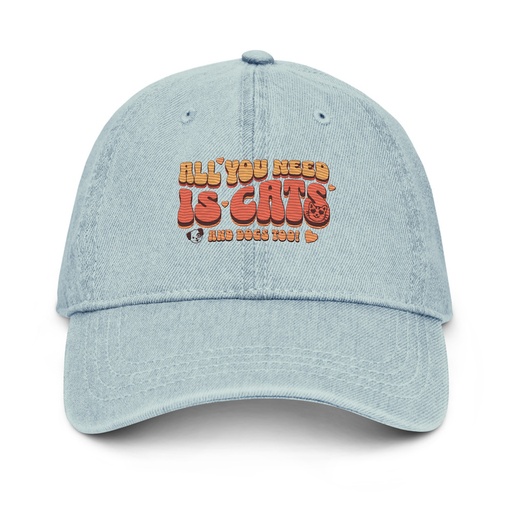 [ID: 463-G52] All You Need Denim Hat