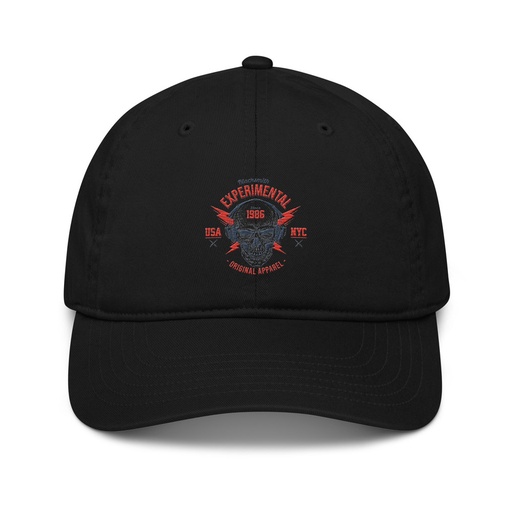[ID: 491-G231] Blacksmith Experimental - Rock Skull Organic Baseball Cap