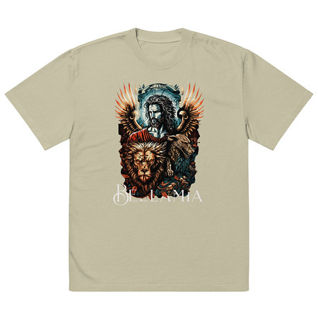 [ID: 713-G179] Bellamia Oversized Faded T-Shirt
