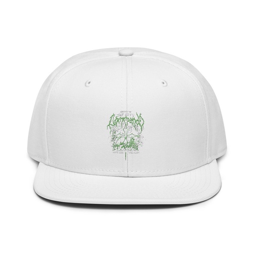 [ID: 77-G105] Assault on the City Snapback