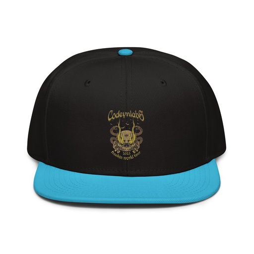 [ID: 77-G137] Band Merchandise Tour Illustration Snapback