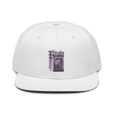 [ID: 77-G280] Brain Food - Y2K Skull Streetwear Snapback