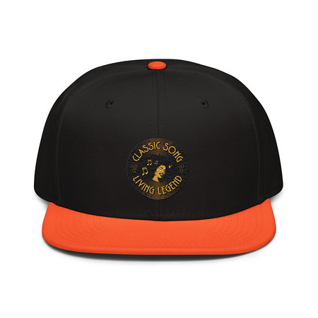 [ID: 77-G385] Classic Song - Music Record Snapback