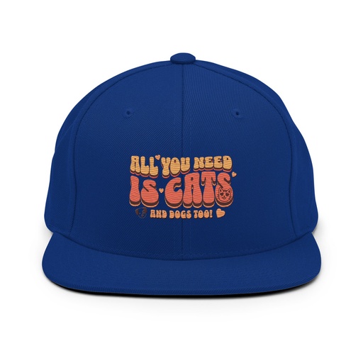 [ID: 99-G52] All You Need Classic Snapback