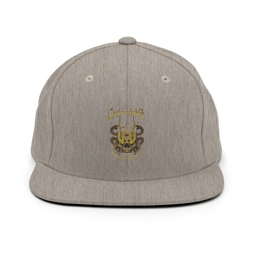 [ID: 99-G137] Band Merchandise Tour Illustration Classic Snapback