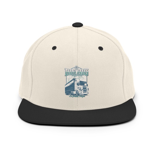 [ID: 99-G202] Big Rig Express Classic Snapback
