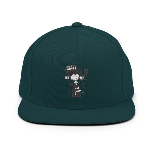 [ID: 99-G430] Crazy World Classic Snapback