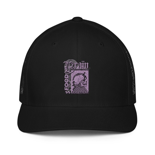 [ID: 596-G280] Brain Food - Y2K Skull Streetwear Closed-Back Trucker Cap