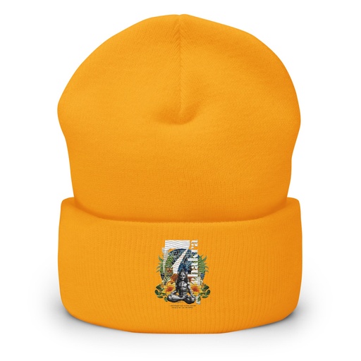 [ID: 266-G12] 7 Chakra Cuffed Beanie