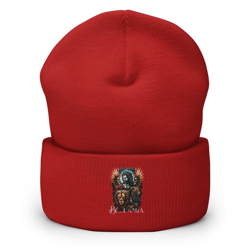 [ID: 266-G179] Bellamia Cuffed Beanie