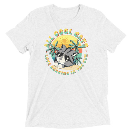 [ID: 162-G43] All Cool Cats - Sunset Beach Unisex Tri-Blend T-Shirt