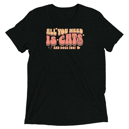 [ID: 162-G52] All You Need Unisex Tri-Blend T-Shirt